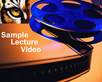Video Lecture Sample